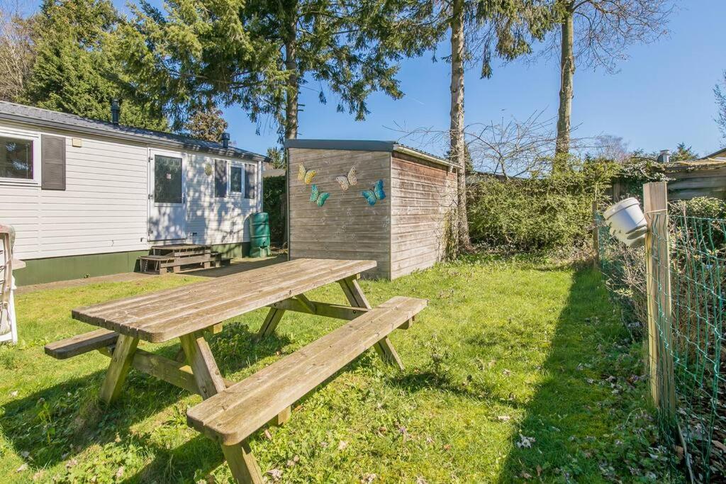 4-Pers. Chalet Met Eigen Parkeerplaats In Veluwe Villa Putten Eksteriør billede